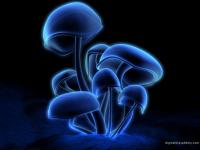 speye's Photo